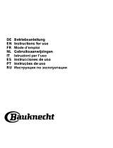 Bauknecht DBHBS 63 LL IX Gebruikershandleiding