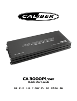 Caliber CA3000P1/24V de handleiding