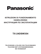 Panasonic TX24DSW354 Handleiding