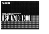 Yamaha DSP-E300 de handleiding