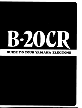 Yamaha B-20CR de handleiding