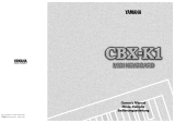 Yamaha CBX-K1 de handleiding