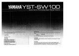 Yamaha YST-SW100 de handleiding