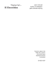 Electrolux EHS60160P Handleiding