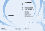 Yamaha TSX-B15 BLUE Handleiding