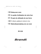 Brandt FE222BS1 de handleiding