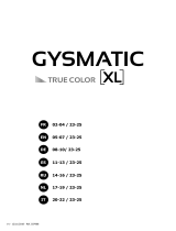 GYS LCD GYSMATIC 5/13 TRUE COLOR XL de handleiding