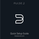 Bluesound pulse 2 de handleiding