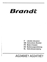 Brandt DHG445XU1 de handleiding