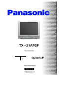 Panasonic TX21AP2F Handleiding