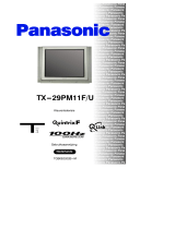 Panasonic TX29PM11FU Handleiding