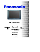 Panasonic TX29PX20F Handleiding