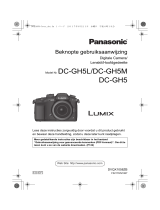 Panasonic DCGH5EG de handleiding