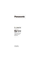 Panasonic DCS1RE Handleiding
