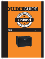 Roland AC-33 de handleiding