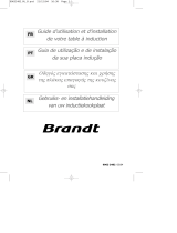 Brandt TI316BN1 de handleiding