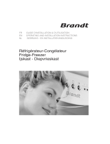 Brandt DN3222 de handleiding