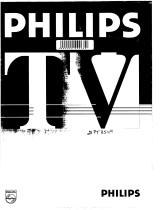 Philips 21PT351A Handleiding