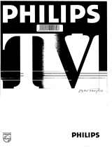 Philips 29PT5300 Handleiding