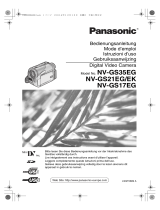Panasonic NVGS21EG de handleiding