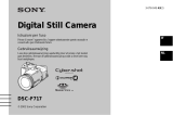 Sony DSC-F717 de handleiding