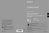 Sony DSC-W100 de handleiding