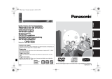 Panasonic DVDS33 de handleiding