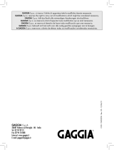 Gaggia RI9303 / 01 CLASSIC MANUELLE Handleiding