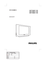 Philips 29PT8857/93 Handleiding