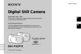 Sony Cyber-shot DSC-P32 de handleiding