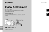 Sony DSC-P8 de handleiding