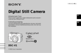 Sony DSC-V1 de handleiding