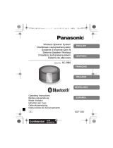 Panasonic SC-RB5E de handleiding