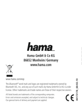 Hama 00173179 de handleiding